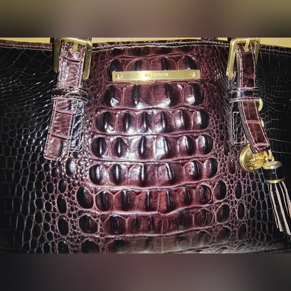 Brahmin Cocoa Tasseled Asher Tote - Picture 5 of 13